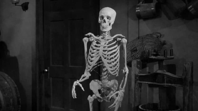 The Lost Skeleton of Cadavra Poster