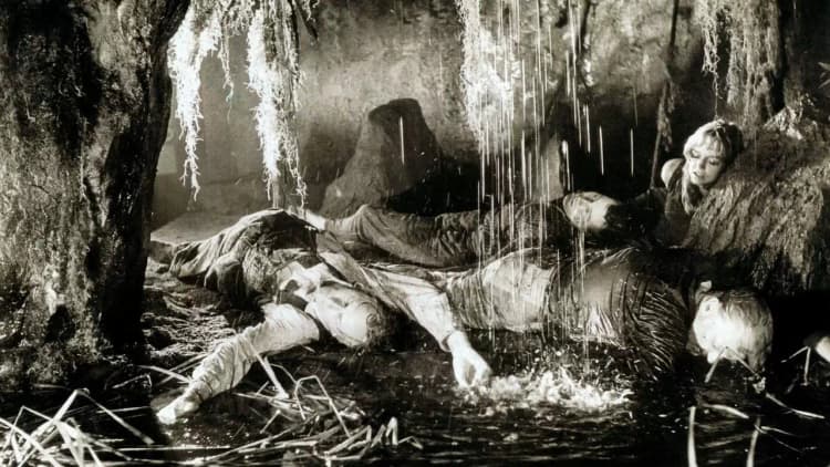 Attack of the Giant Leeches Poster