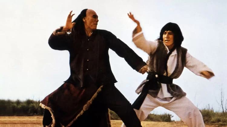 Snake and Crane Arts of Shaolin Poster