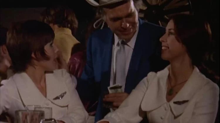 The Stewardesses Poster