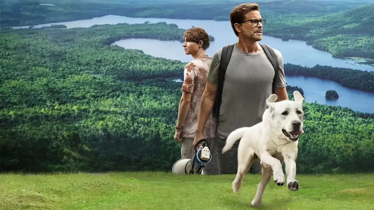 Dog Gone Backdrop