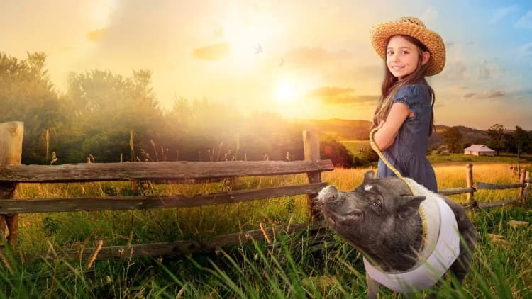 Elvis the Pig Poster