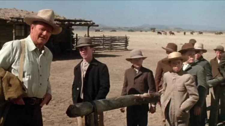 The Cowboys Poster
