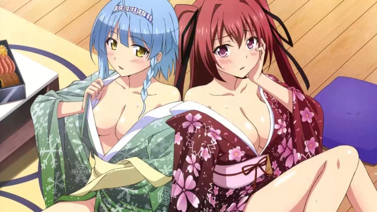 The Testament of Sister New Devil Poster