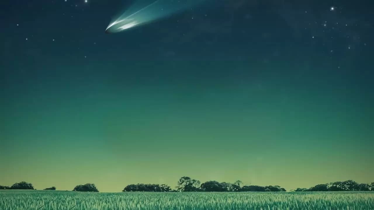 Moment of Contact Backdrop