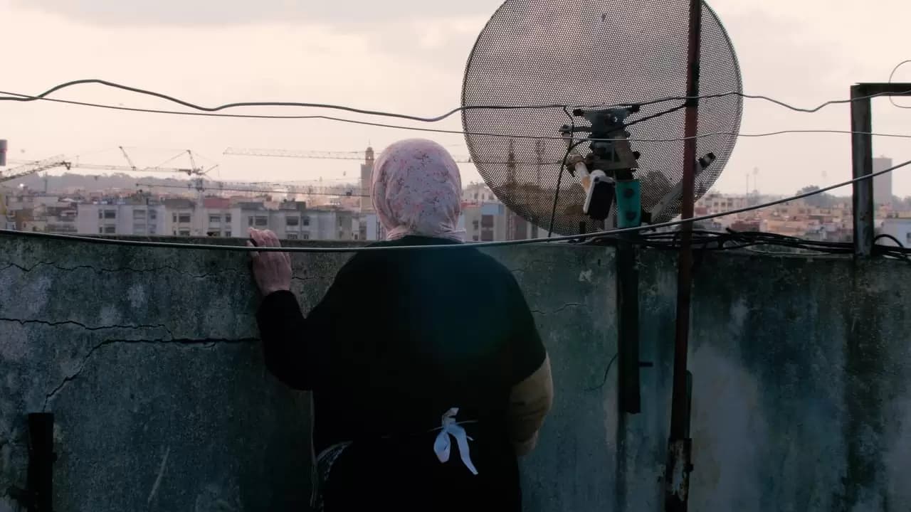 Kadib Abyad Backdrop