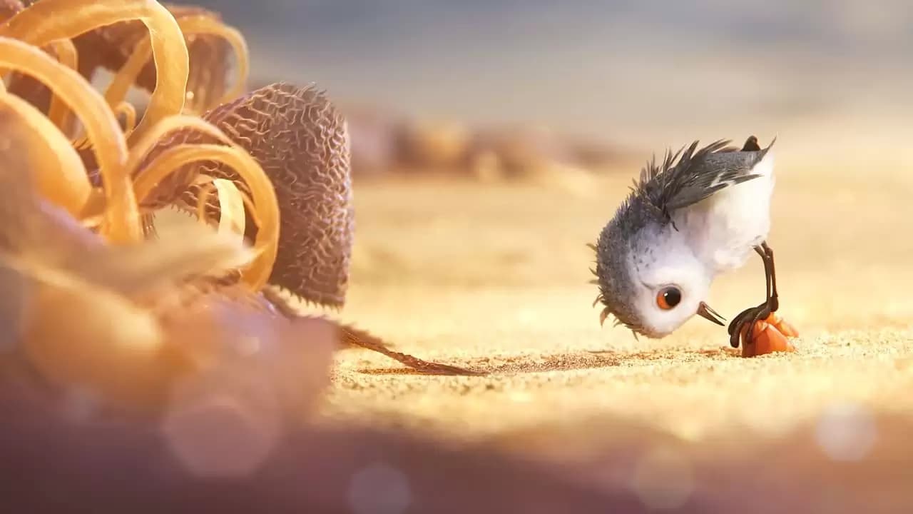 Piper Backdrop