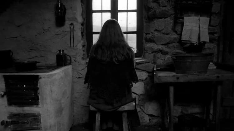 The Turin Horse Poster