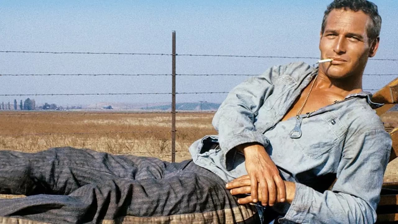 Cool Hand Luke Backdrop