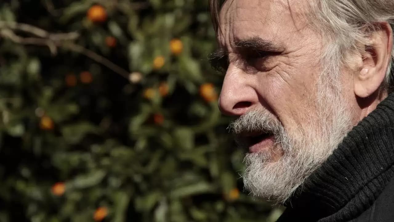 Tangerines Backdrop