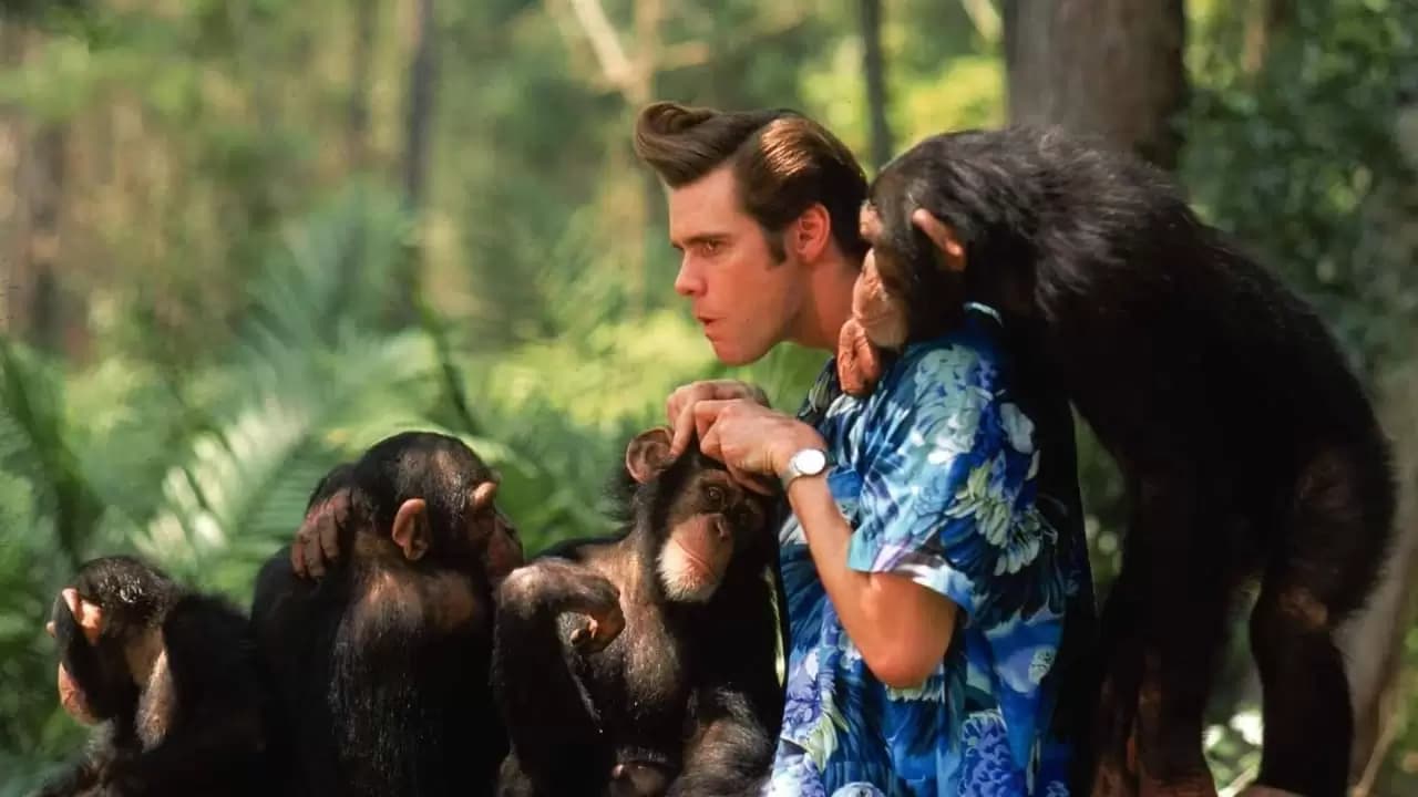 Ace Ventura: When Nature Calls Backdrop