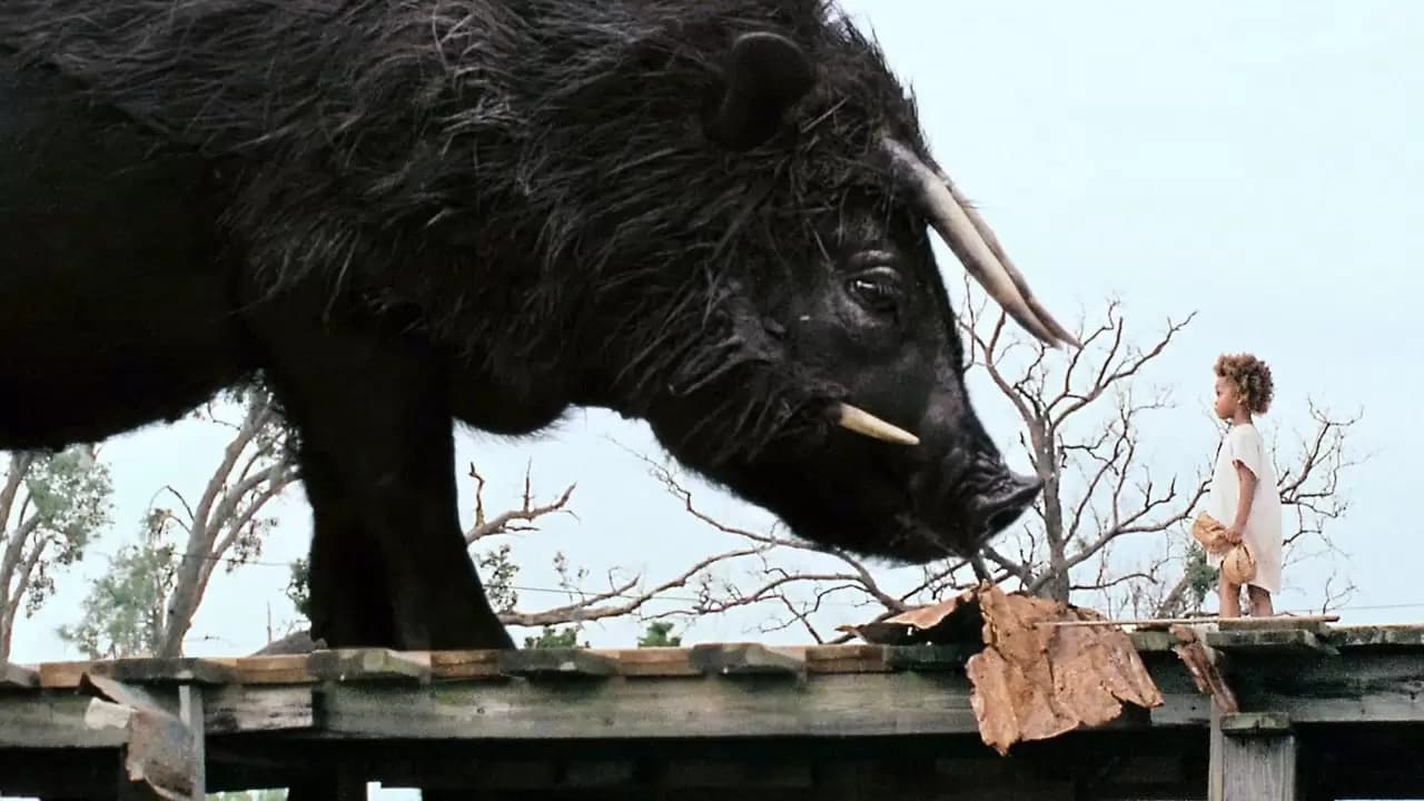 Beasts of the Southern Wild Backdrop