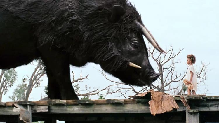 Beasts of the Southern Wild Poster