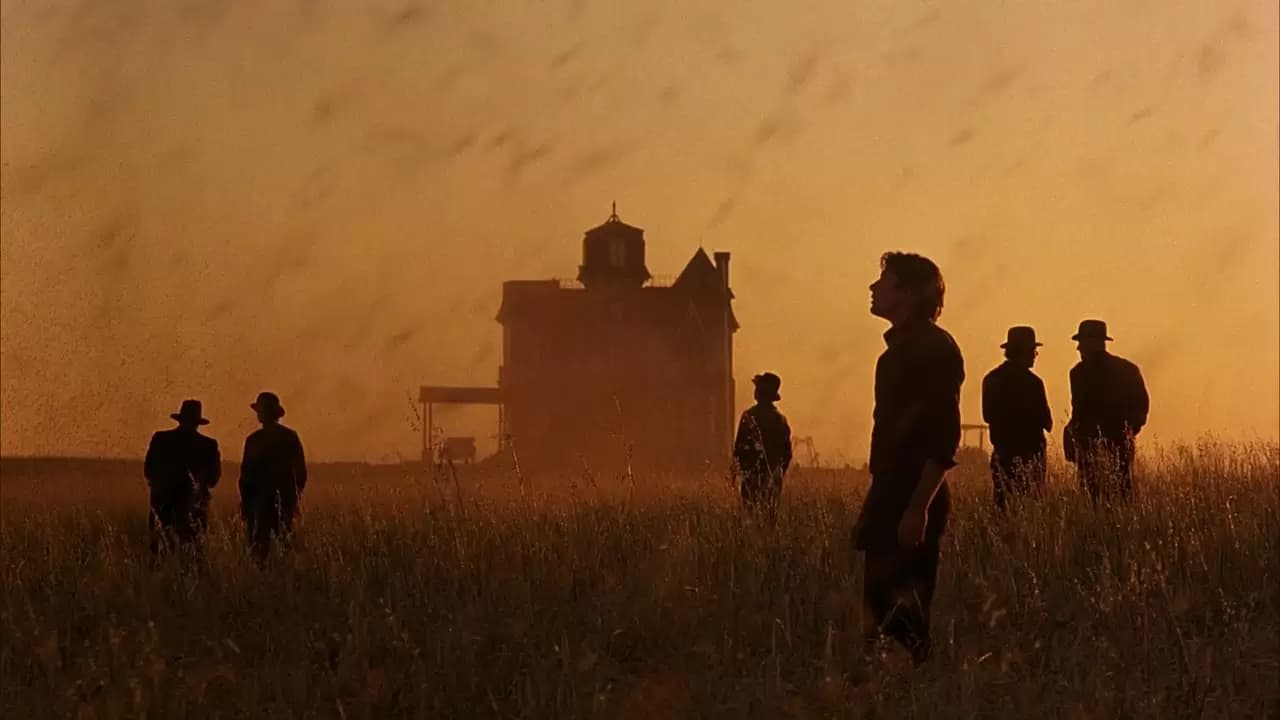 Days of Heaven Backdrop