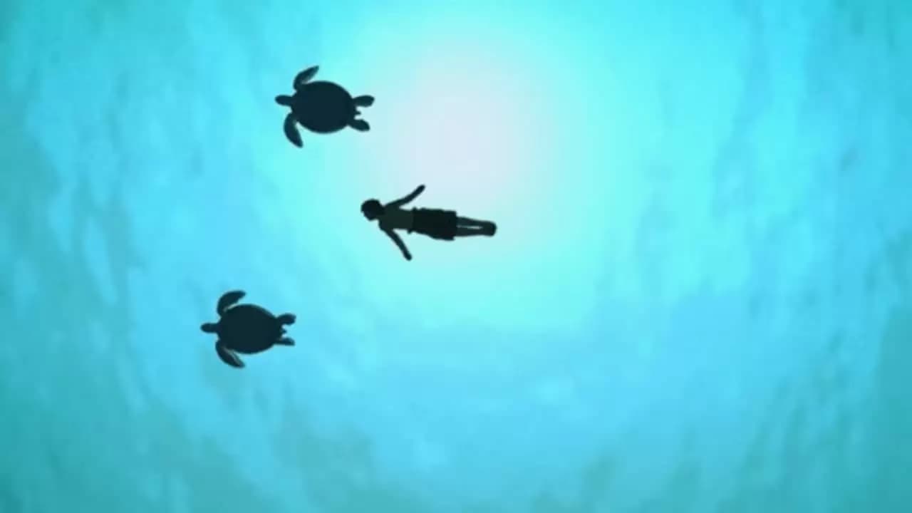 The Red Turtle Backdrop
