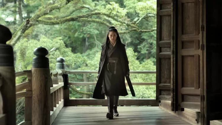 The Assassin Poster
