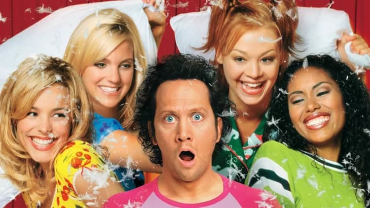 The Hot Chick Poster