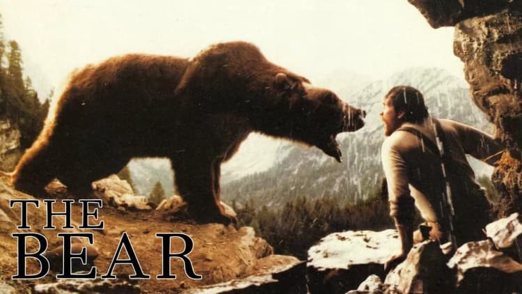 The Bear Poster
