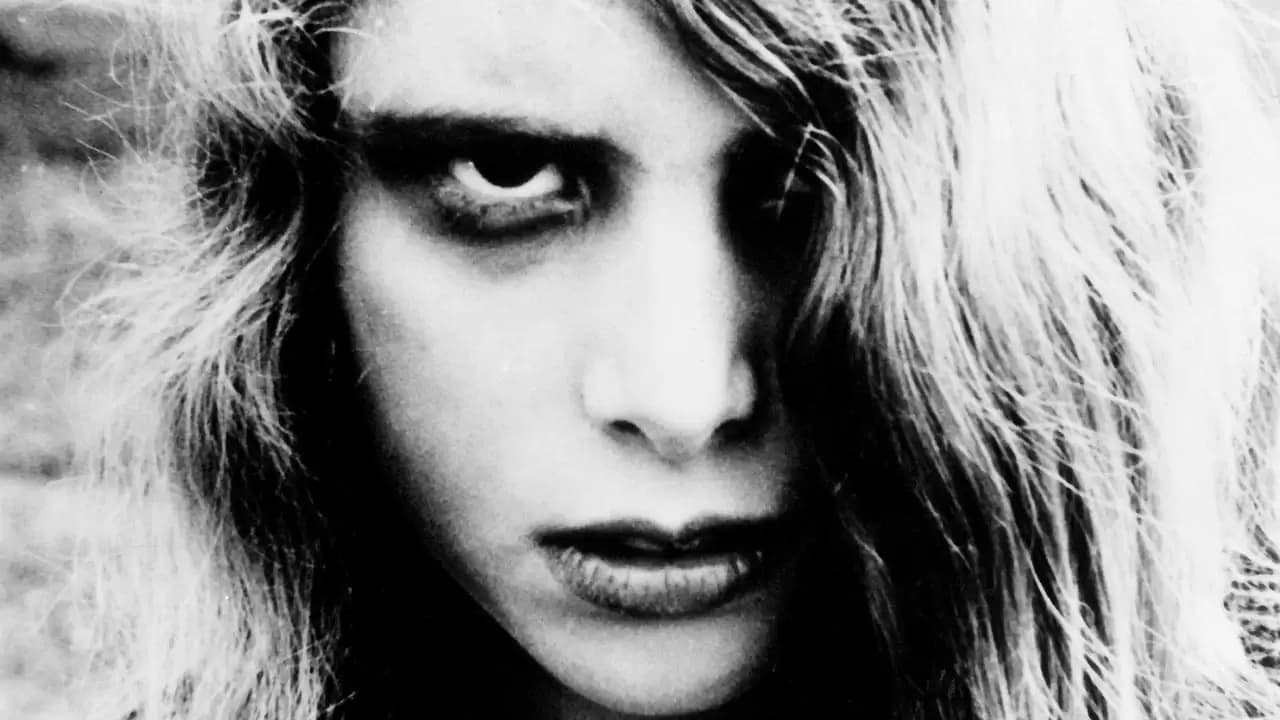 Night of the Living Dead Backdrop