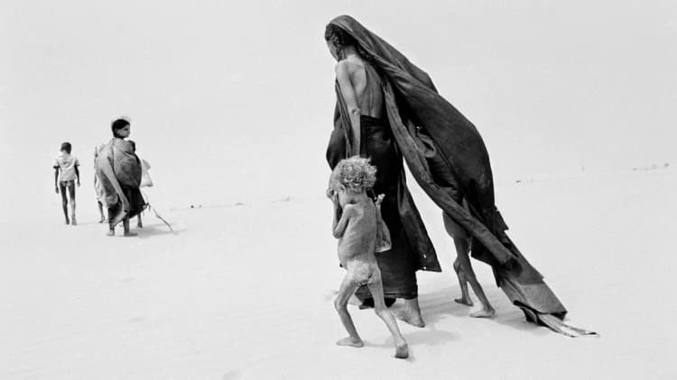 The Salt of the Earth Poster