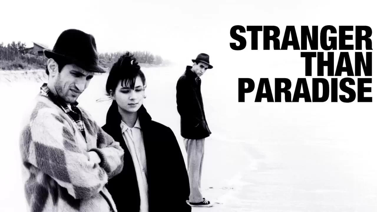 Stranger Than Paradise Backdrop