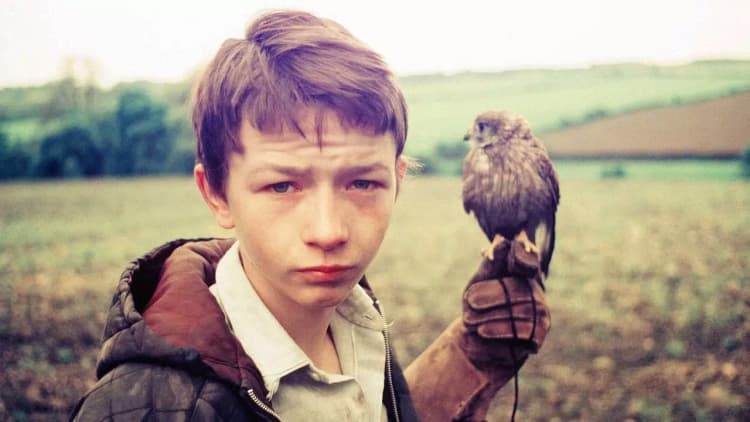 Kes Poster