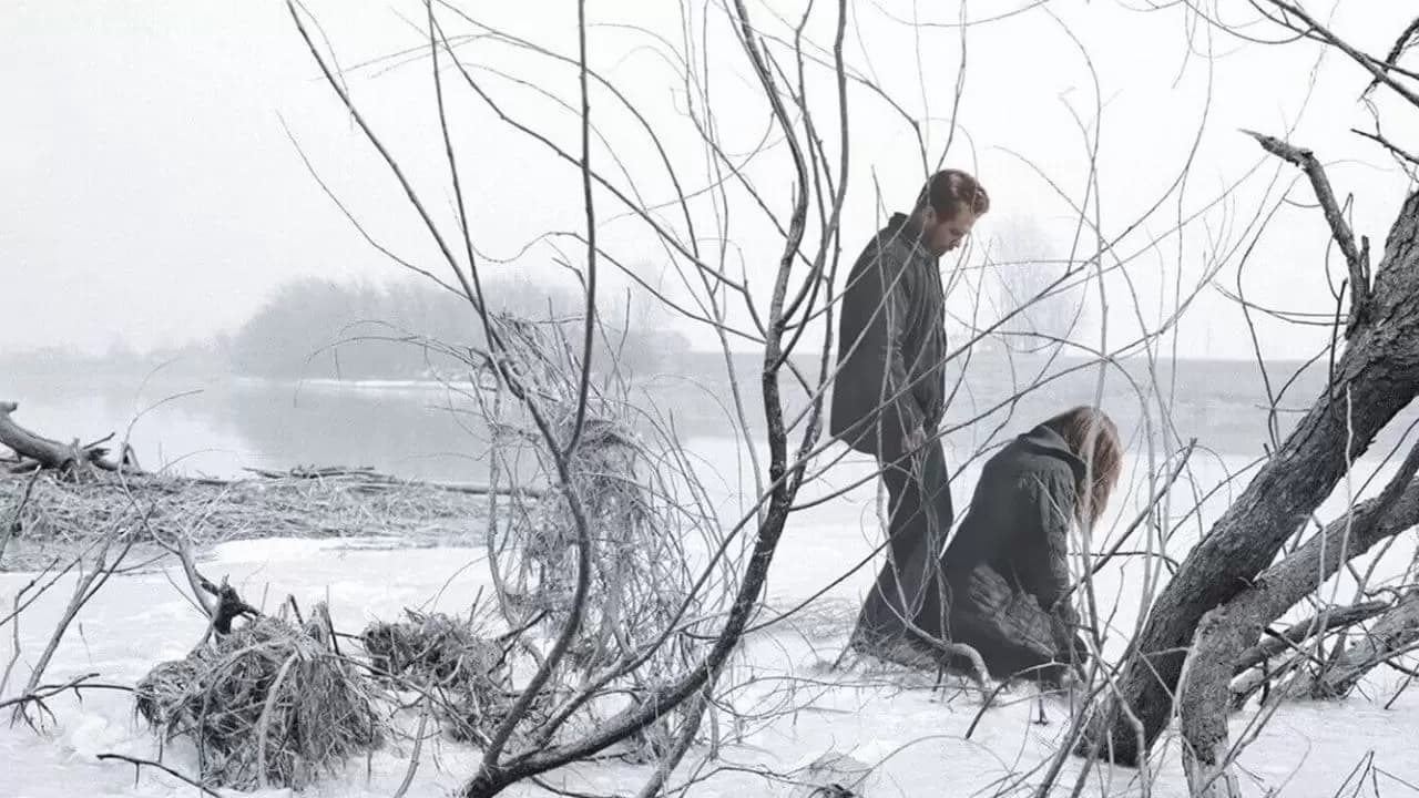 Snow Angels Backdrop