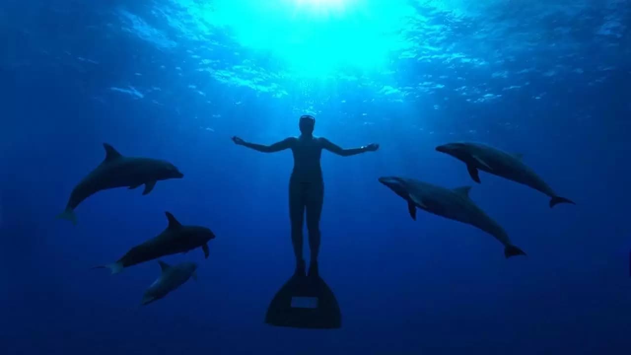 The Cove Backdrop