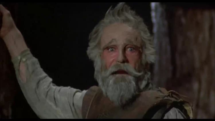 Man of La Mancha Poster