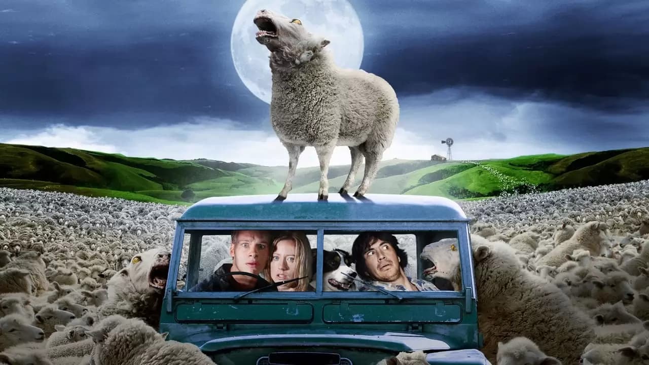 Black Sheep Backdrop