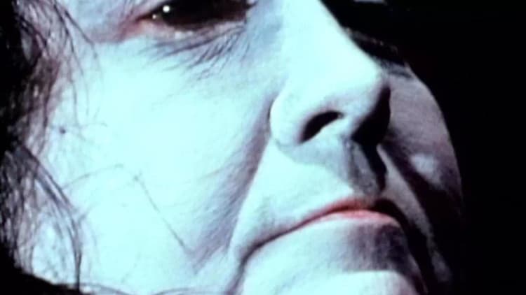 The Grandmother Poster
