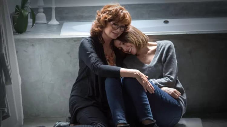 The Meddler Poster