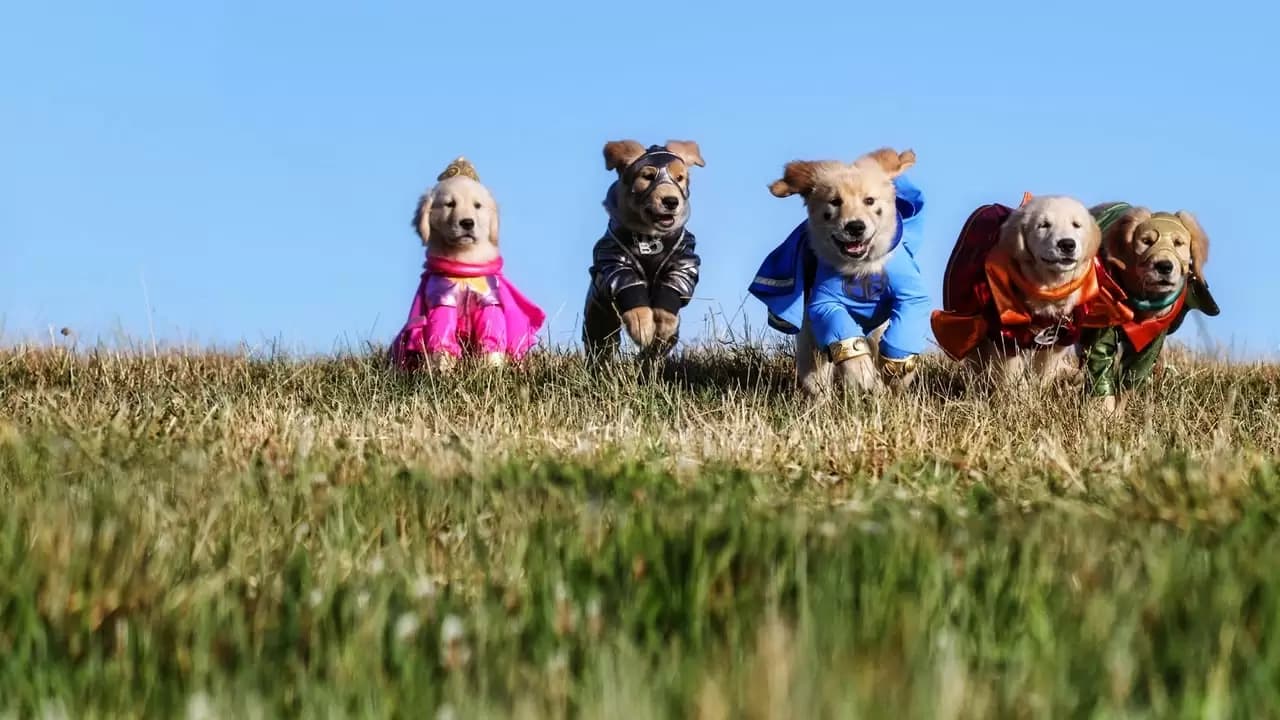 Super Buddies Backdrop