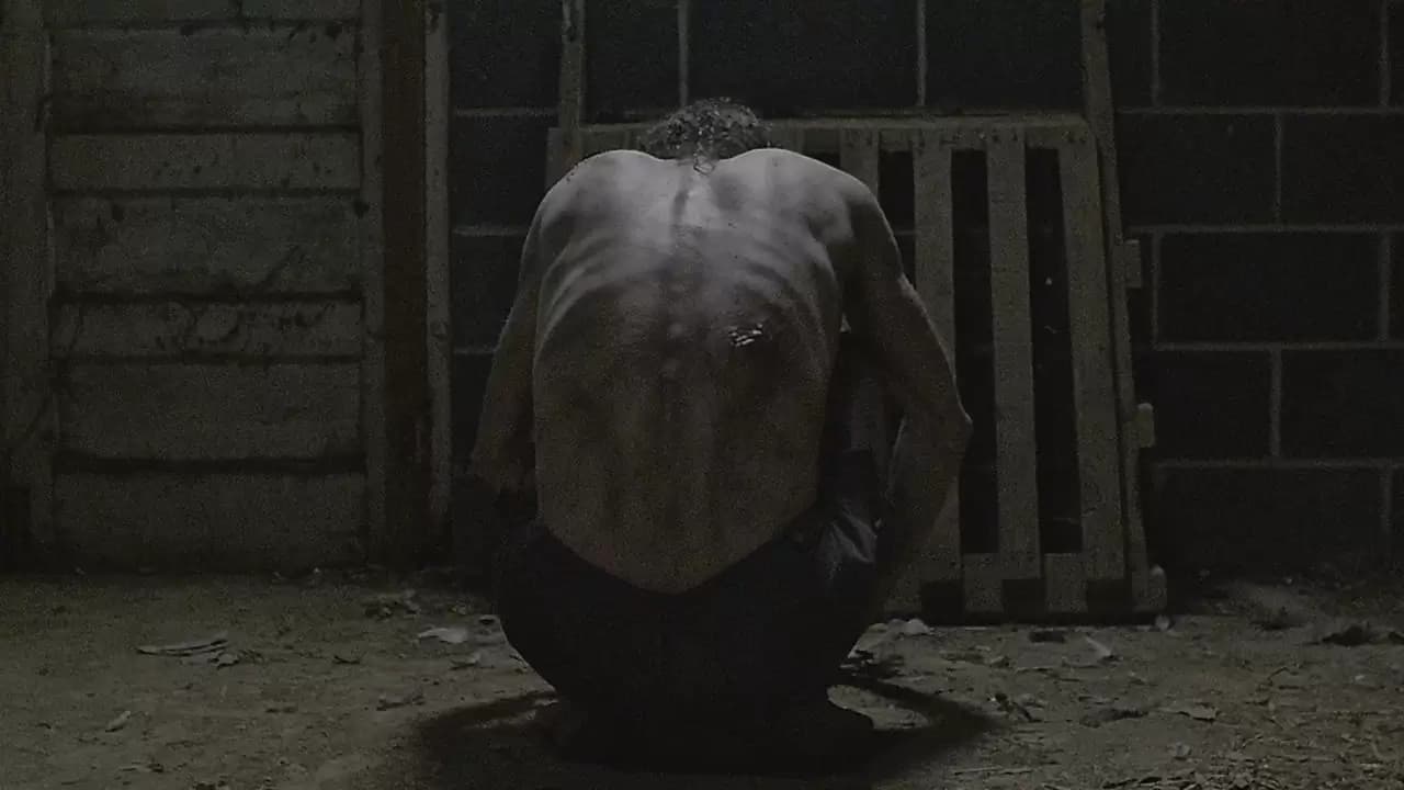 The Suffering Backdrop