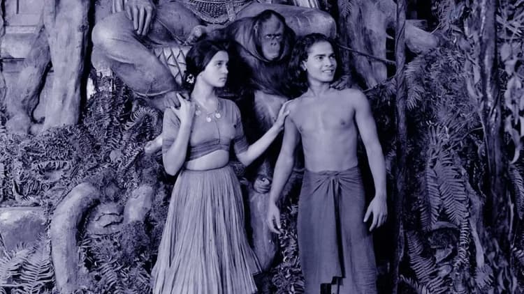 The Jungle Book Poster