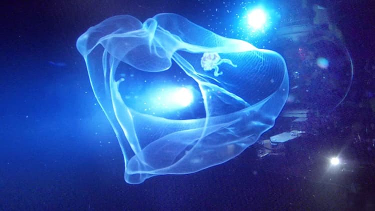 Aliens of the Deep Poster