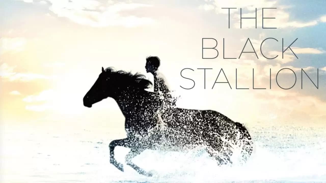 The Black Stallion Backdrop