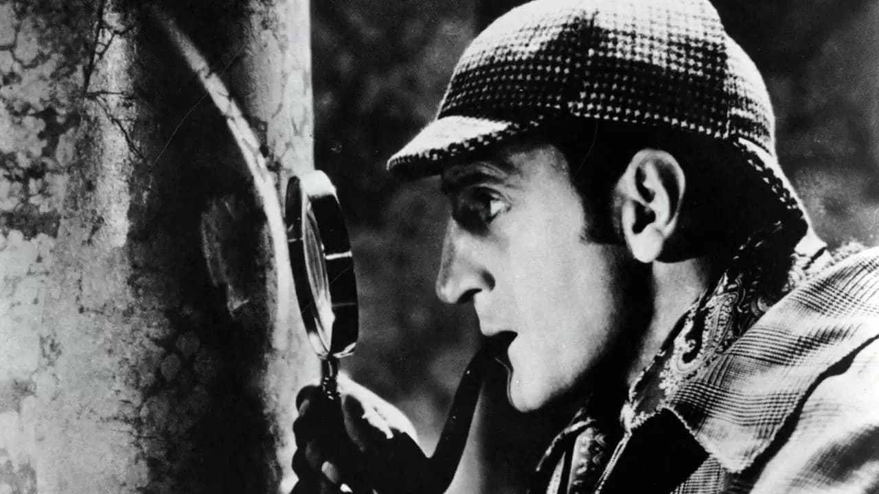The Hound of the Baskervilles Backdrop