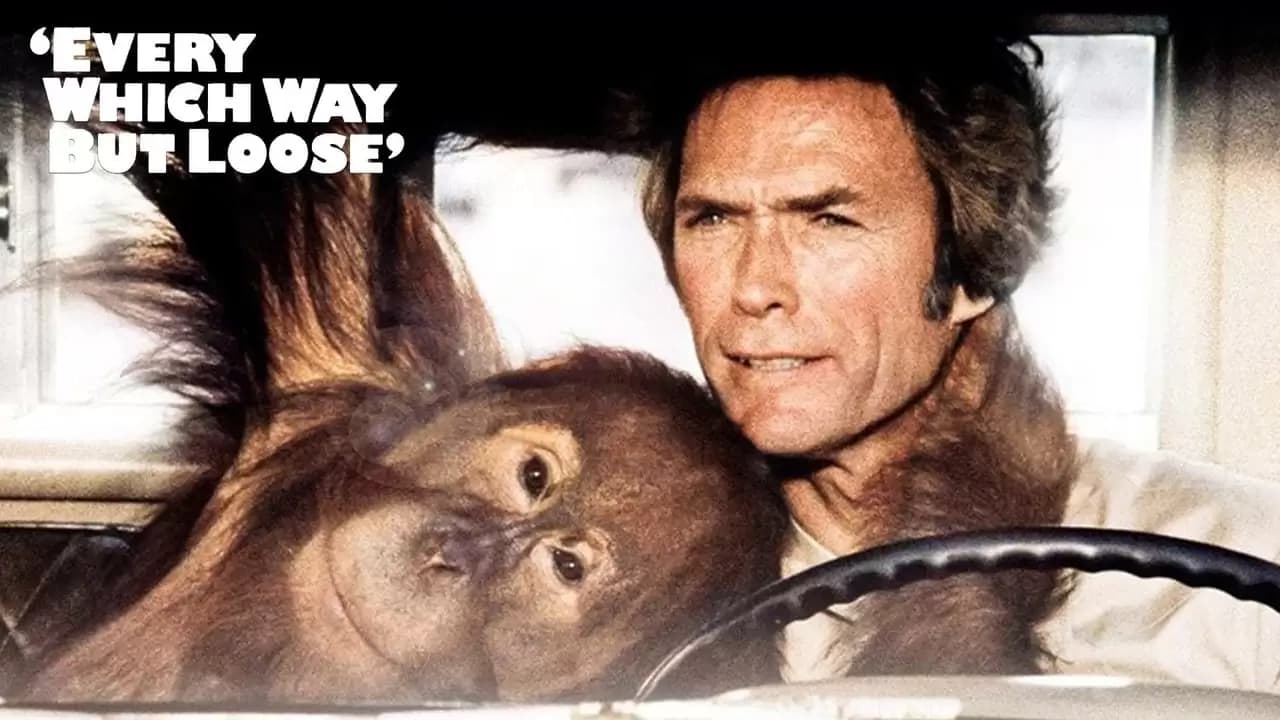 Every Which Way but Loose Backdrop