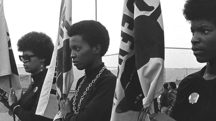 The Black Panthers: Vanguard of the Revolution Poster