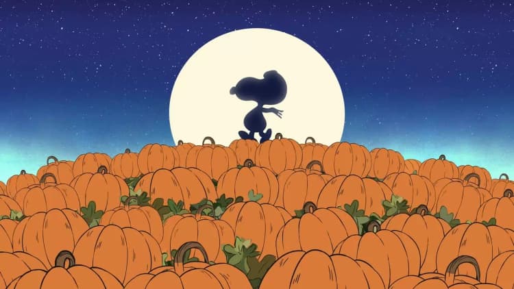It's the Great Pumpkin, Charlie Brown Poster