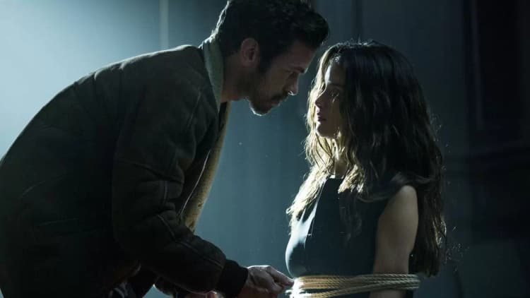 In the Shadow of Iris Poster