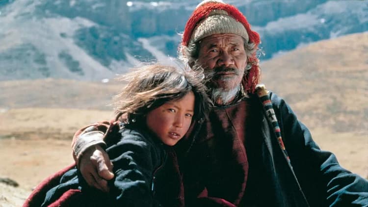 Himalaya Poster