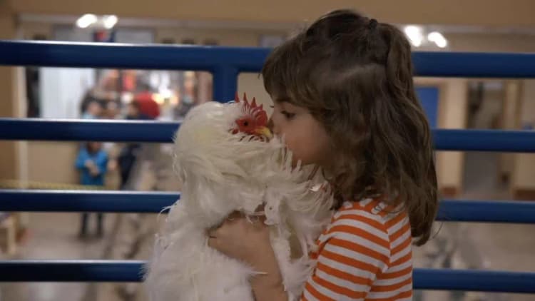 Chicken People Poster