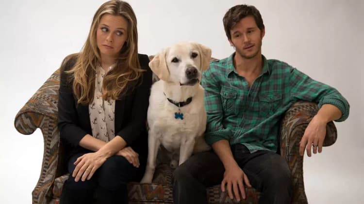 Who Gets the Dog? Poster