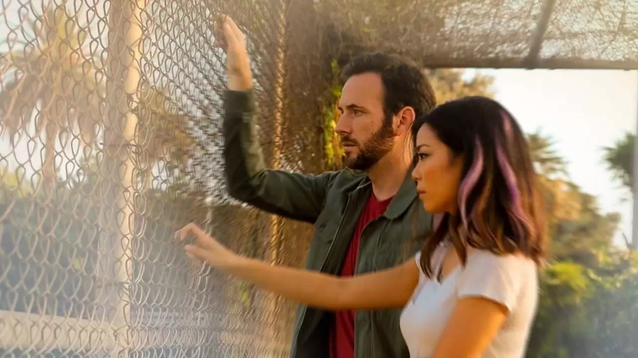 Fallen Stars Backdrop