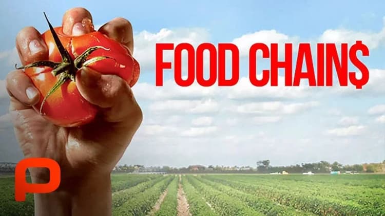 Food Chains Poster