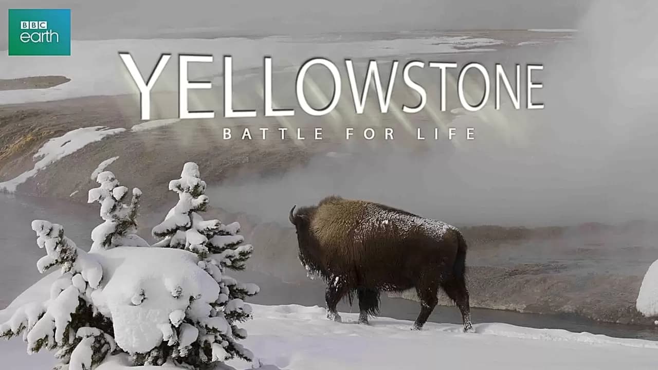 Yellowstone Backdrop