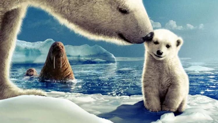 Arctic Tale Poster