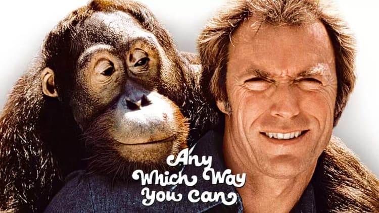 Any Which Way You Can Poster